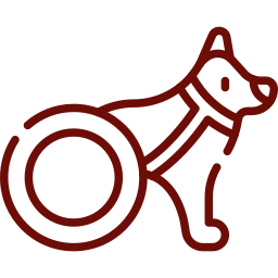Veterinary amputation surgery for pets requiring limb removal at Mission Veterinary Clinic