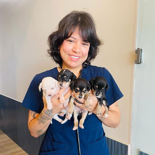 Andrea, team member at Mission Veterinary Clinic in Granada Hills, CA