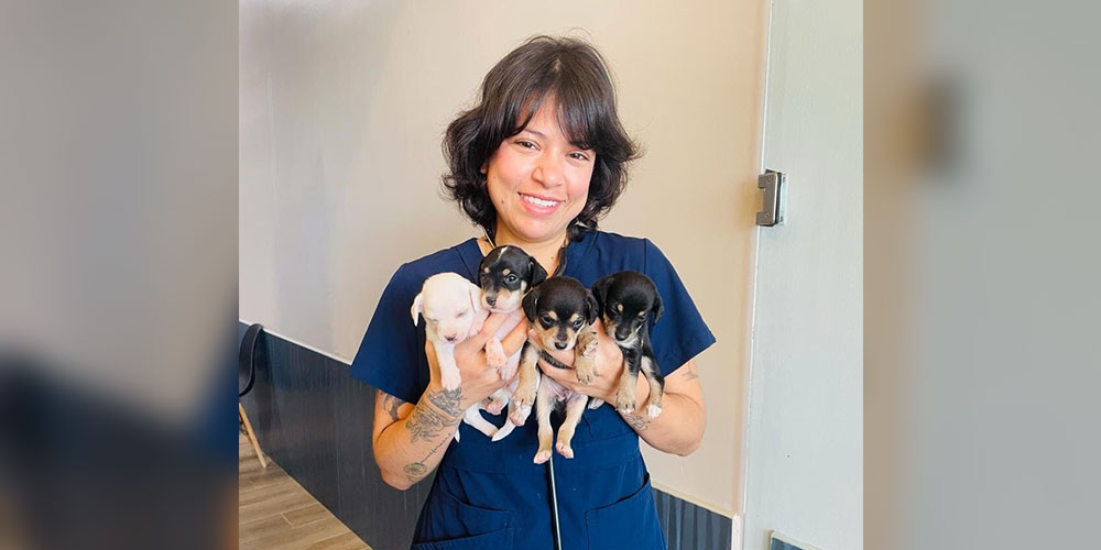 Andrea, Mission Veterinary Clinic team member, profile popup image