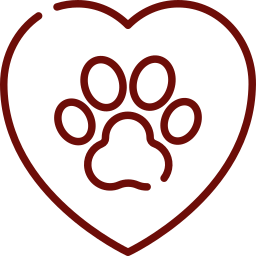 Comprehensive veterinary wellness exam — full-body health assessment for dogs and cats
