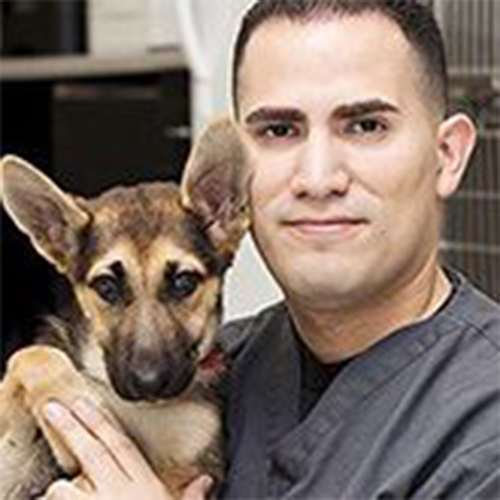 Danny, veterinary support staff at Mission Veterinary Clinic in Granada Hills, CA