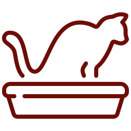 Pet with diarrhea — digestive symptom guide for veterinary evaluation in Granada Hills