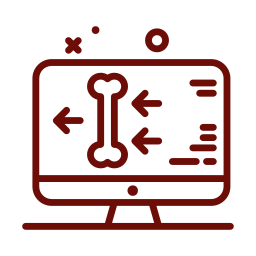 Digital radiography service for precise veterinary diagnostics at Mission Veterinary Clinic