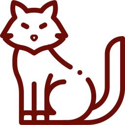 Feline urethral obstruction emergency treatment for cats at Mission Veterinary Clinic