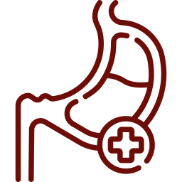 Gastroenteritis in pets icon, digestive illness treated at Mission Veterinary Clinic