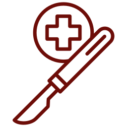 Veterinary general surgery — soft tissue surgical procedures for dogs and cats in Granada Hills