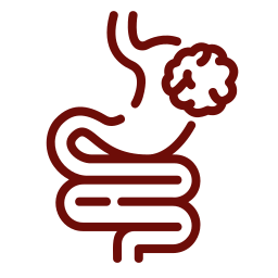 Intestinal foreign body removal surgery for pets that swallowed objects