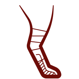 Laceration and wound care for pets icon at Mission Veterinary Clinic