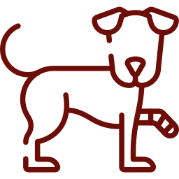 Pet limping or lameness icon for orthopedic veterinary care in Granada Hills