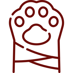 Minor trauma cases icon for urgent pet care at Mission Veterinary Clinic