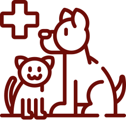 Pet refusing food and water bowl — warning sign of illness requiring veterinary attention