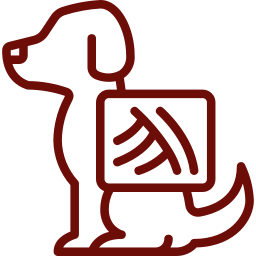 Veterinary radiology and ultrasound imaging — diagnostic scanning for pet health in Granada Hills
