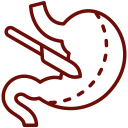 Splenectomy surgery for dogs and cats at Mission Veterinary Clinic