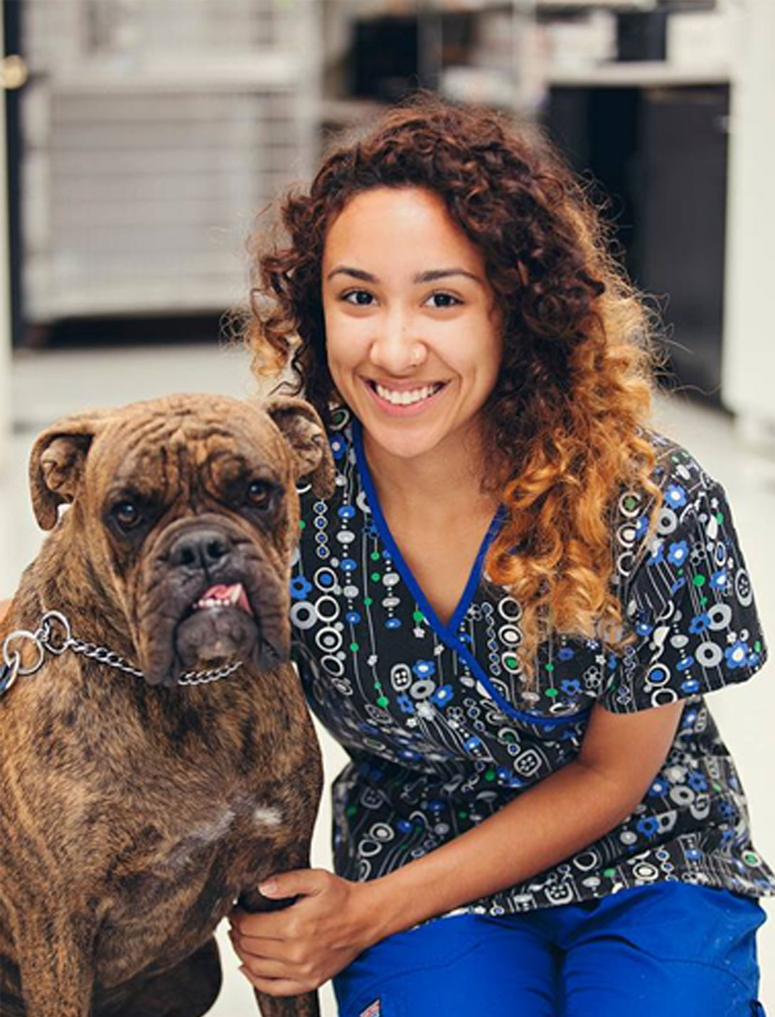 Mission Veterinary Clinic veterinary staff member providing pet care in Granada Hills
