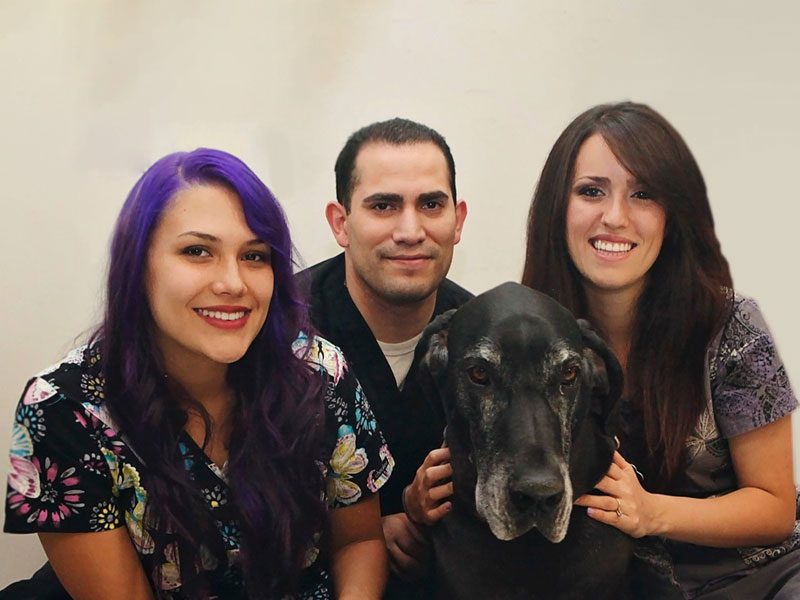 Mission Veterinary Clinic veterinary team member, Granada Hills, CA
