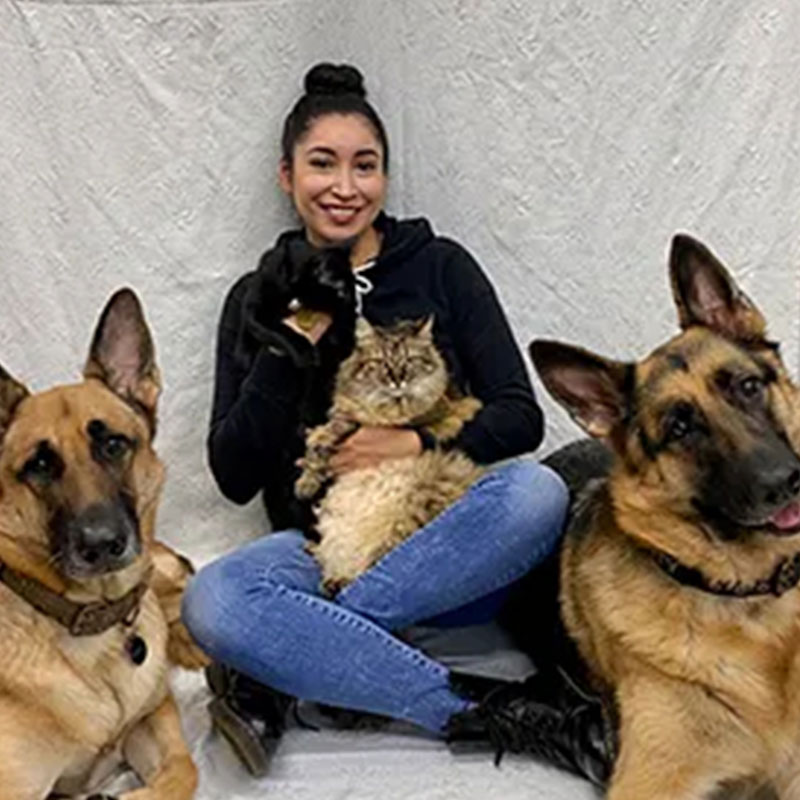 Mission Veterinary Clinic team member — veterinary career opportunities in Granada Hills CA
