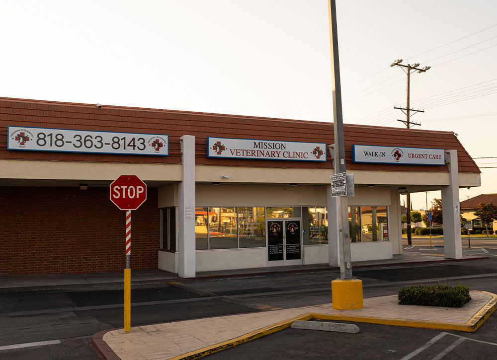 Veterinary staff caring for a patient at Mission Veterinary Clinic in Granada Hills, CA