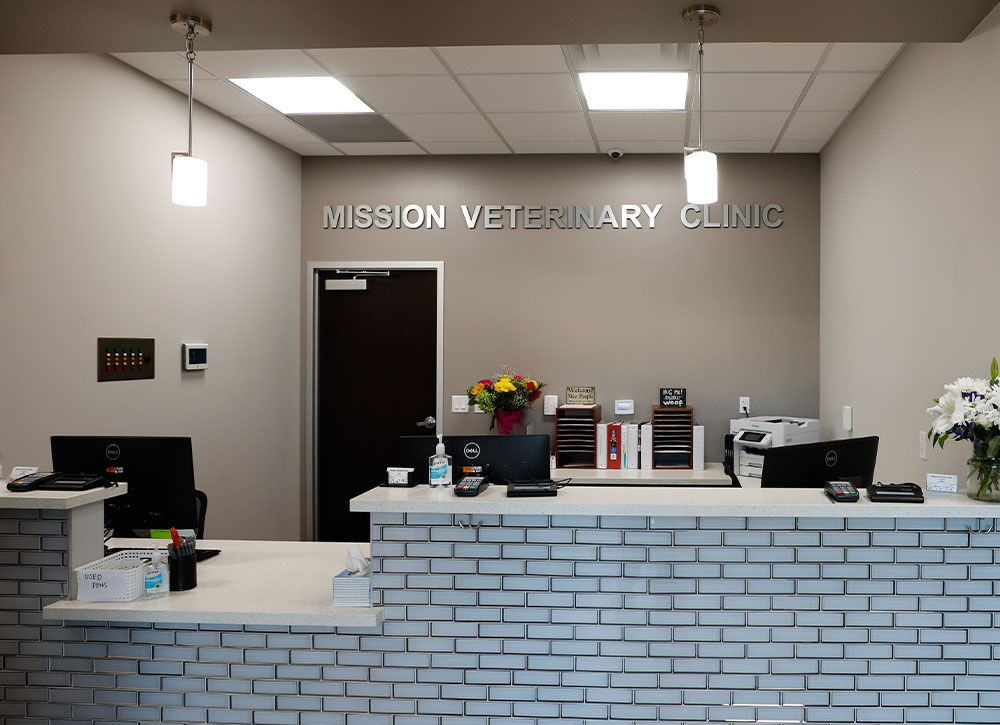 Happy pet and owner at Mission Veterinary Clinic, providing quality care in Granada Hills