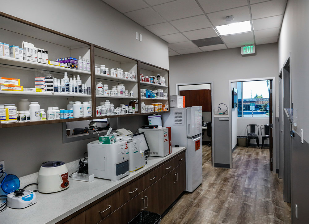 Exam room at Mission Veterinary Clinic where pets receive general veterinary care