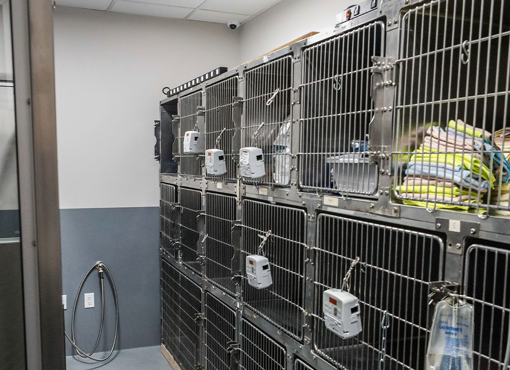 Mission Veterinary Clinic facility exterior in Granada Hills offering compassionate pet care