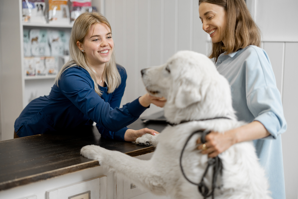 Veterinarian consulting with a dog owner while examining their dog during a routine veterinary appointment.